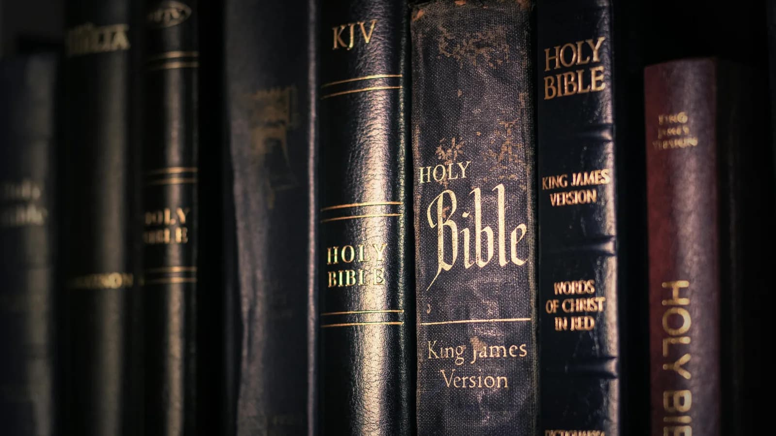 A row of Bible covers