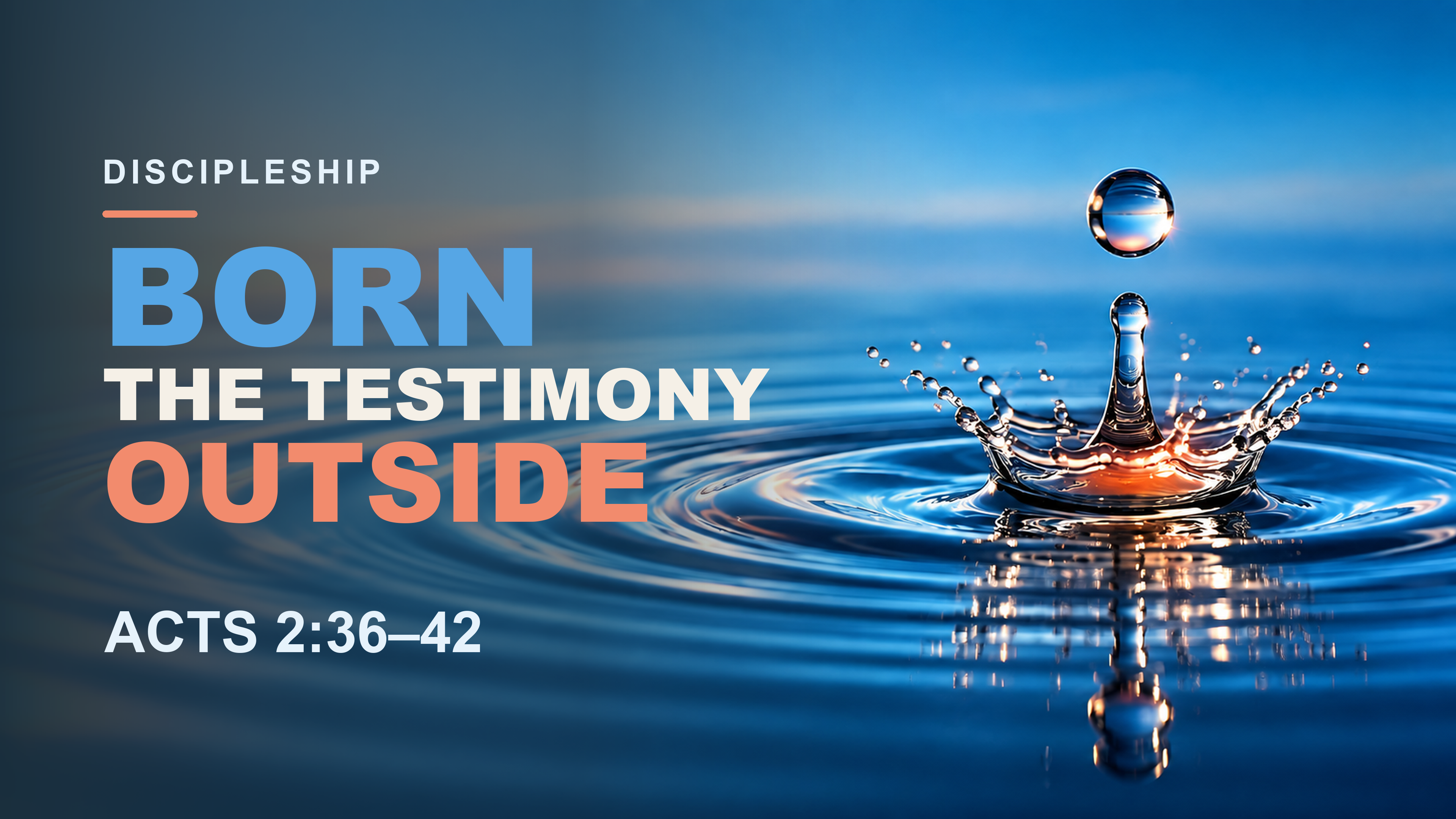 Born, the Testimony Outside